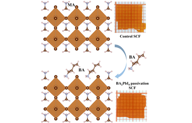 In-situ passivating surface defects of ultra-thin MAPbBr3 perovskite single crystal films for high performance photodetectors 2024.100454